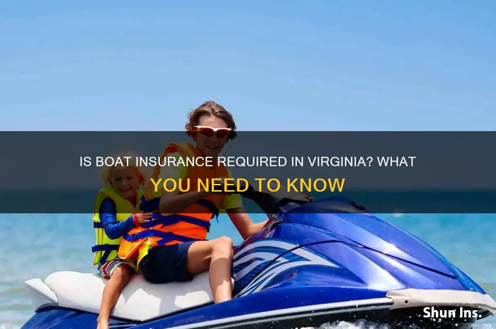 do you have to have boat insurance in virginia
