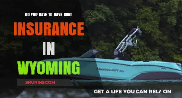 Wyoming Boat Insurance: Is It Required for Your Watercraft?
