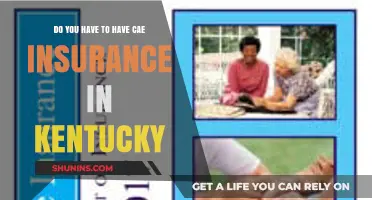 Kentucky CAE Insurance: Is It Mandatory for Drivers?