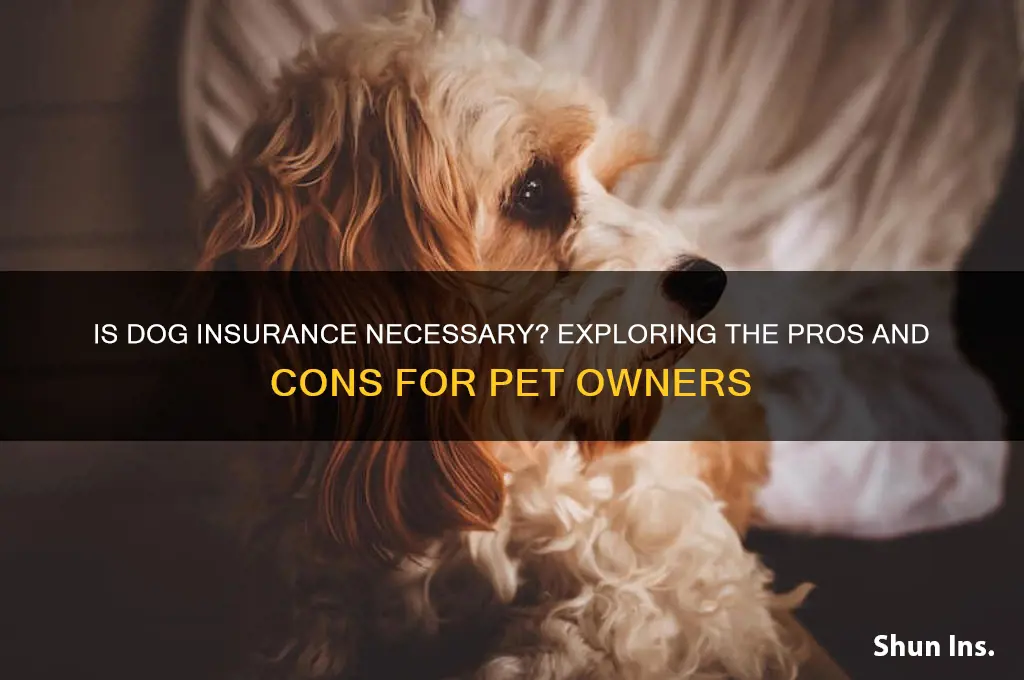 do you have to have dog insurance