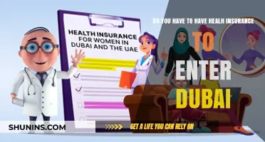 Health Insurance Requirements for Dubai Entry: What You Need to Know