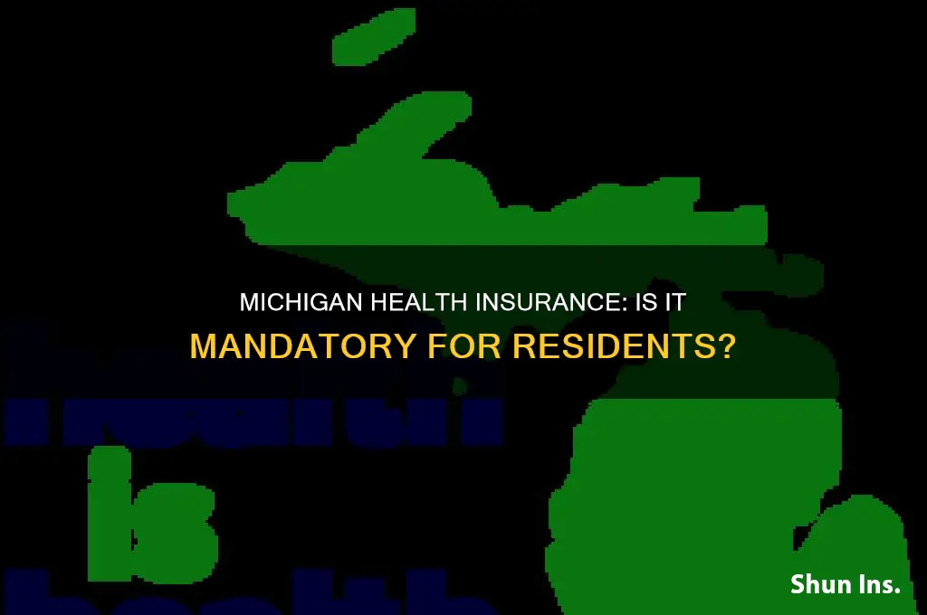 do you have to have health insurance in michigan
