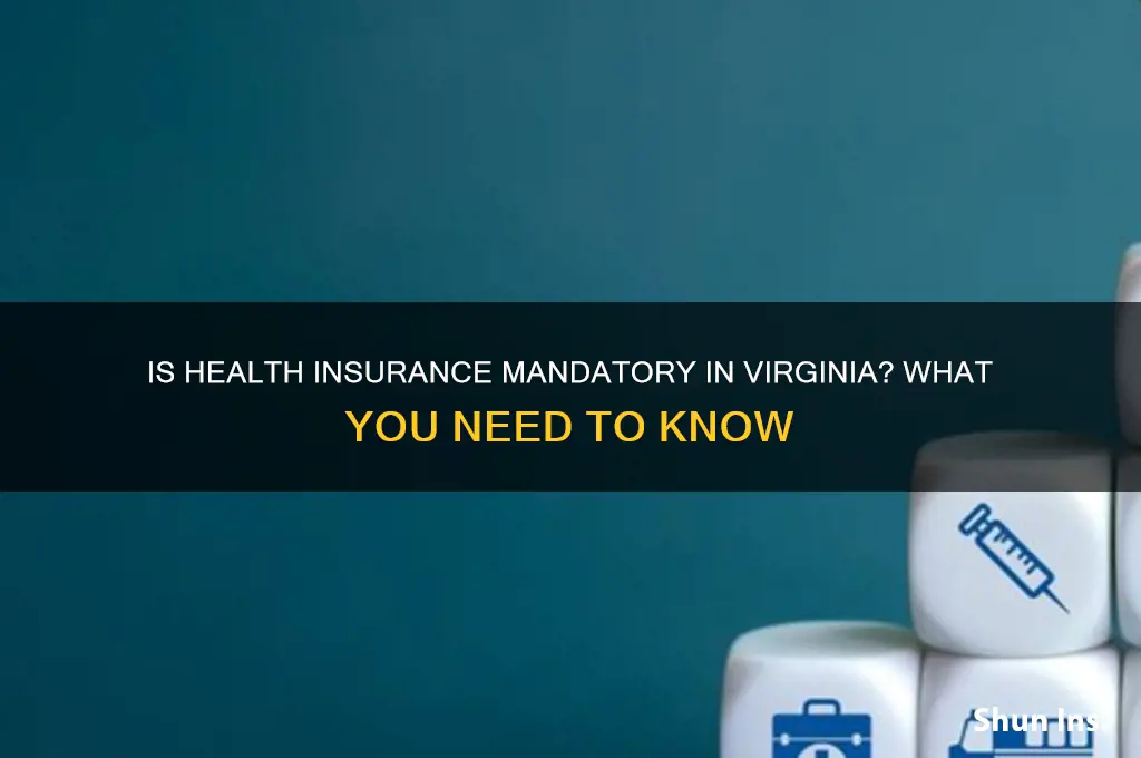 do you have to have health insurance in va