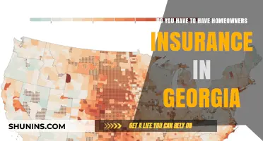 Home Insurance in Georgia: Is It Mandatory?
