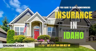 Home Insurance in Idaho: Is It Mandatory?