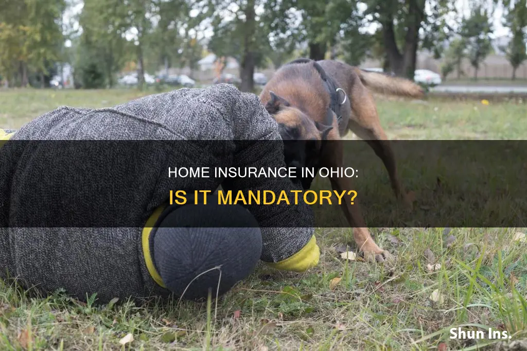 do you have to have homeowners insurance in Ohio