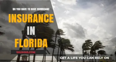 Florida Hurricane Insurance: Is It Mandatory?