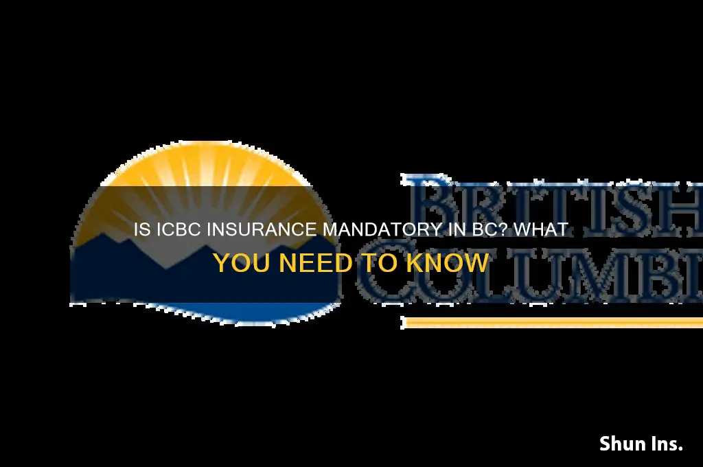 do you have to have icbc insurance in bc