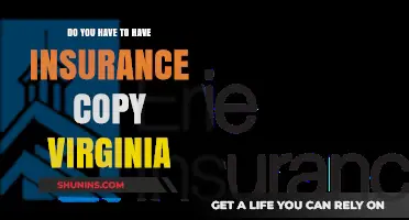 Virginia Auto Insurance Requirements: Do You Need Coverage by Law?