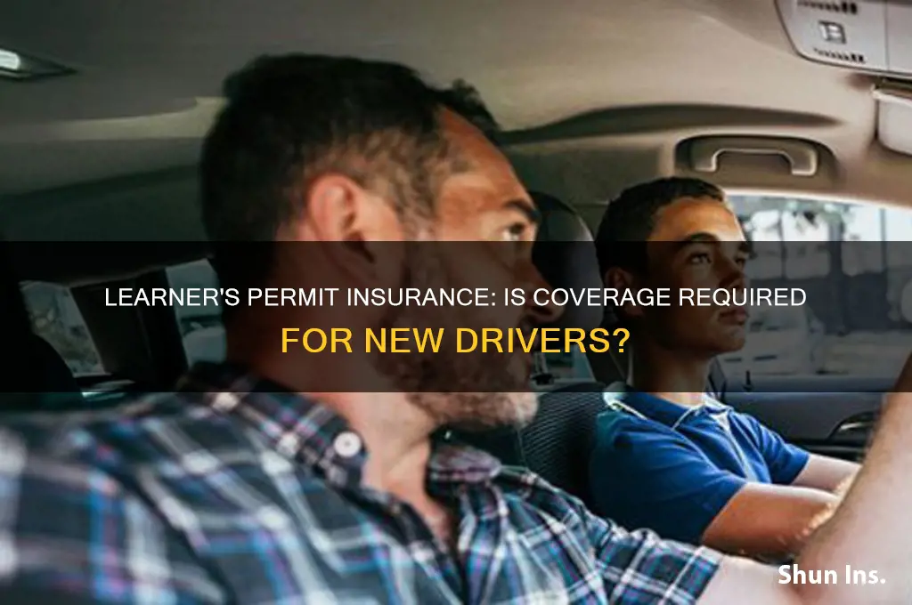 do you have to have insurance for a learner