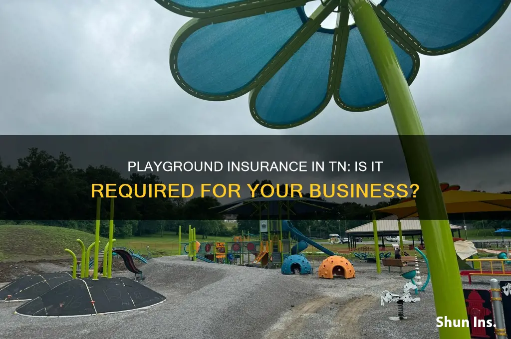 do you have to have insurance for a playground tn