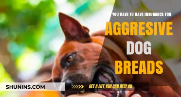 Aggressive Dog Breeds: Is Insurance Mandatory for Owners?