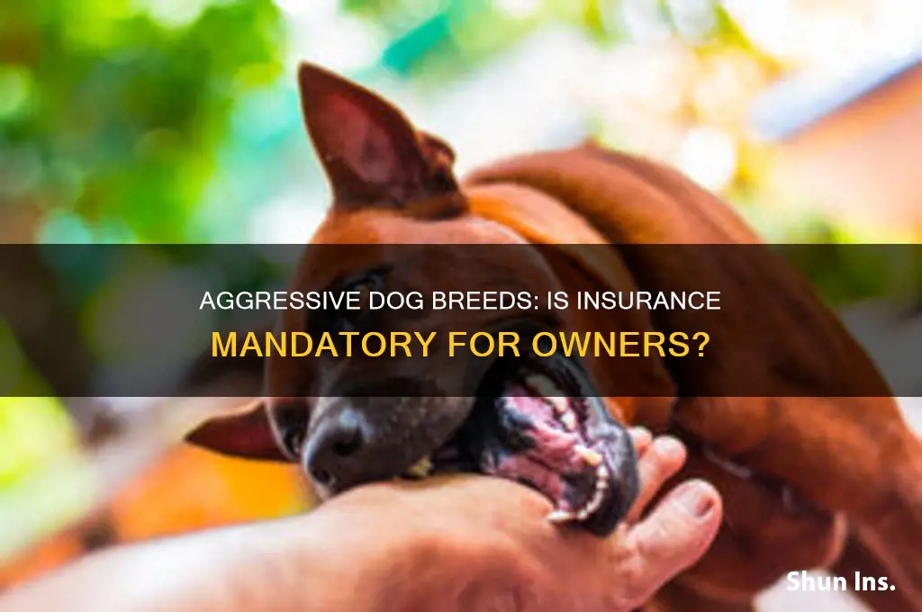 do you have to have insurance for aggresive dog breads
