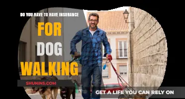 Dog Walking Insurance: Essential or Optional for Pet Care Professionals?