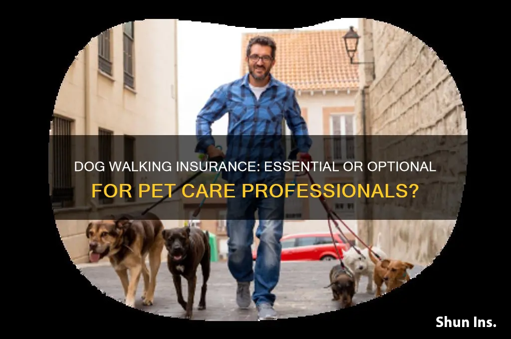 do you have to have insurance for dog walking
