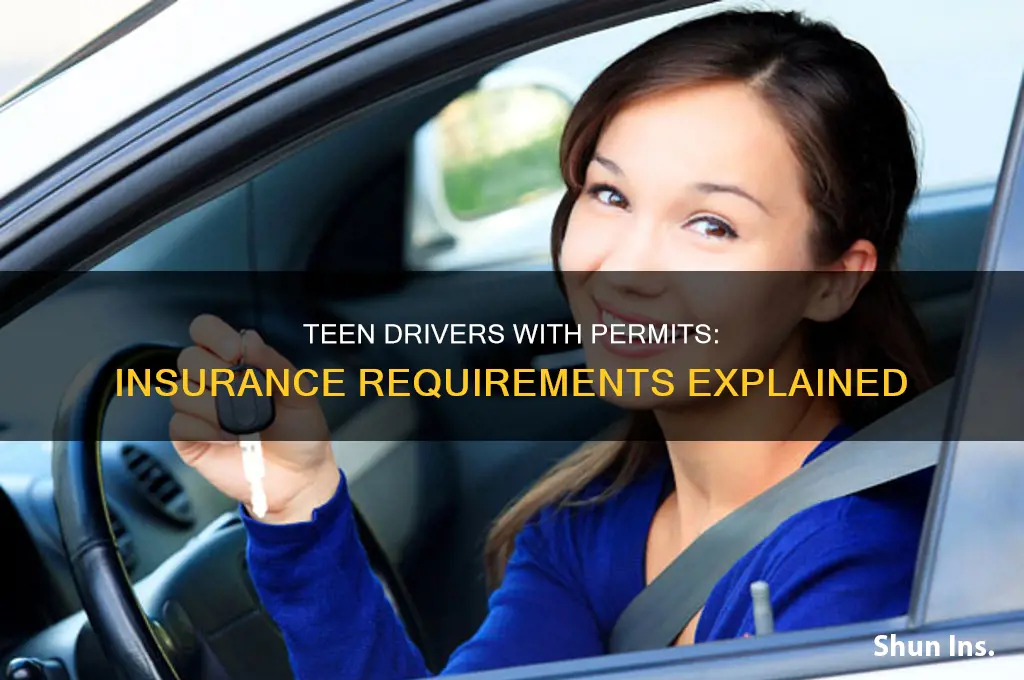 do you have to have insurance for teen with tenps