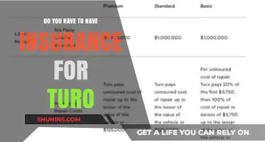 Turo Rental Insurance: Is Coverage Mandatory for Hosts and Renters?