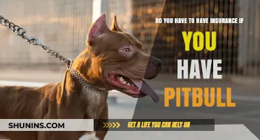 Do You Need Insurance for Your Pitbull? Essential Coverage Explained