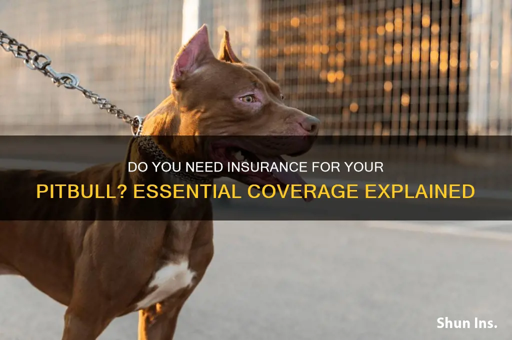 do you have to have insurance if you have pitbull