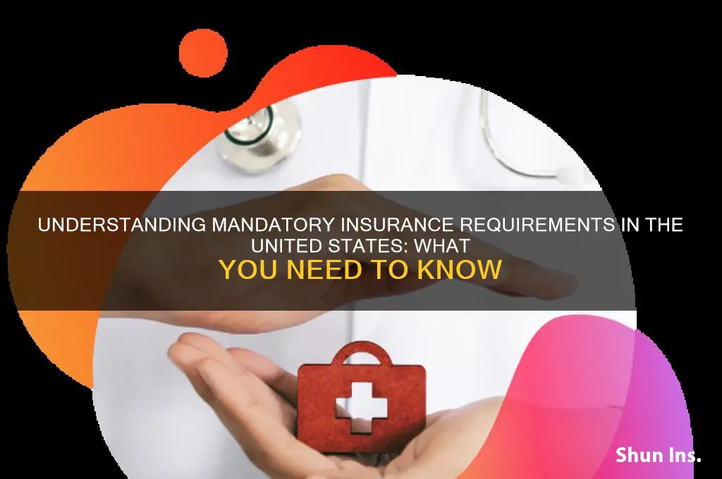 do you have to have insurance in america