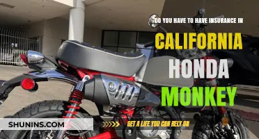 California Honda Monkey Insurance: Is It Mandatory for Riders?