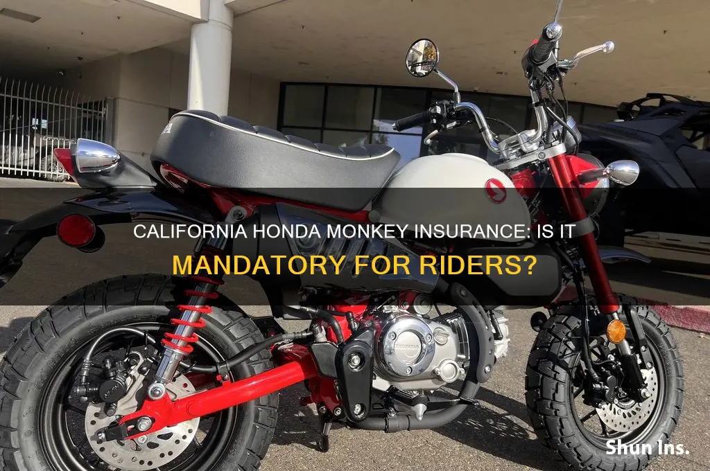 do you have to have insurance in california honda monkey