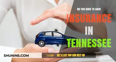 Tennessee Insurance Requirements: What You Need to Know