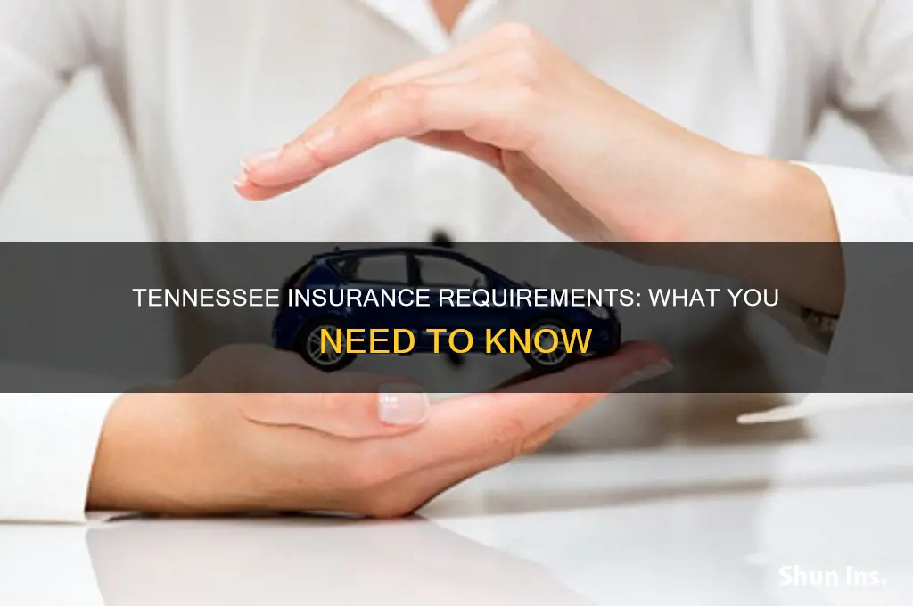 do you have to have insurance in tennessee