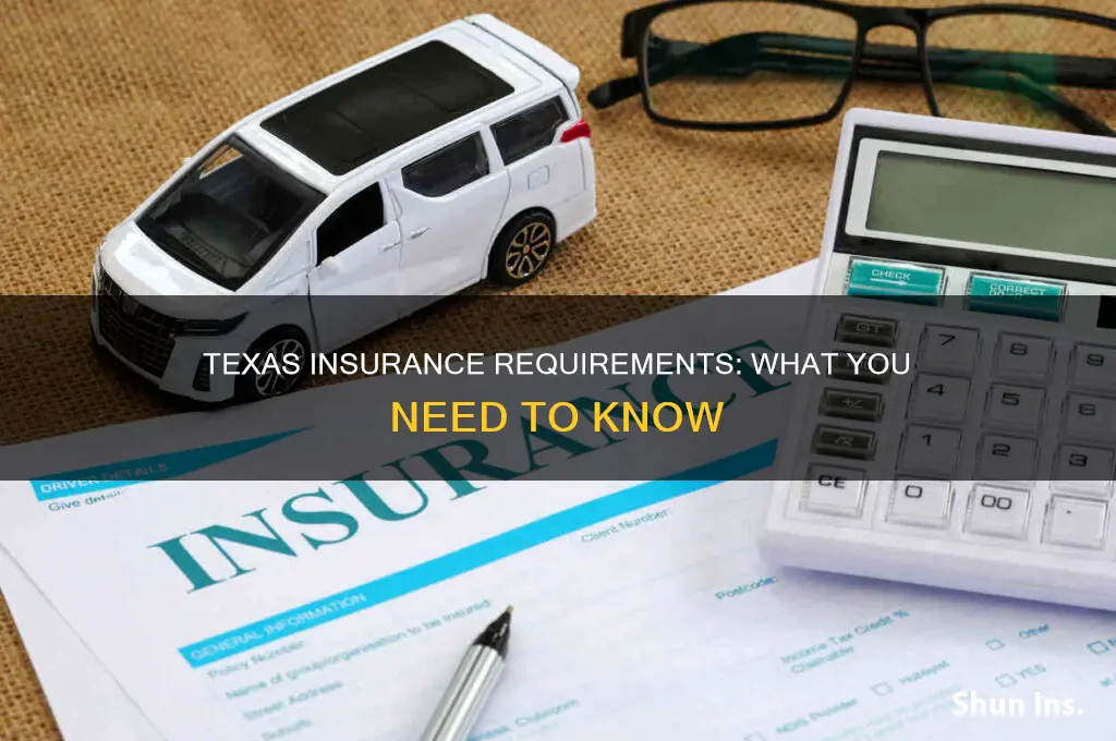 do you have to have insurance in texas