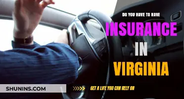 Virginia Auto Insurance Requirements: What You Need to Know