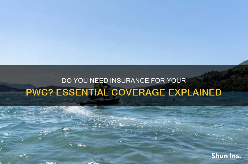 do you have to have insurance on a pwc