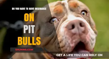 Do Pit Bulls Require Insurance? Understanding Breed-Specific Coverage