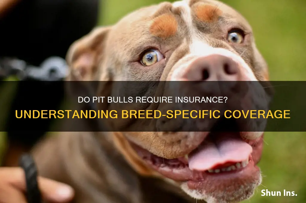 do you have to have insurance on pit bulls