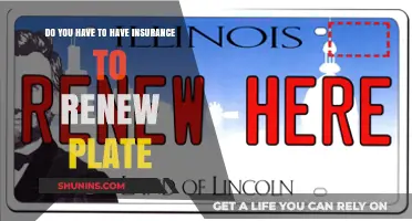 Renewing Your License Plate: Is Car Insurance Mandatory for Renewal?