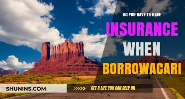 Utah Car Borrowing: Is Insurance Mandatory for Borrowed Vehicles?