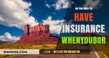 Utah Car Borrowing: Is Insurance Required When You Borrow a Car?