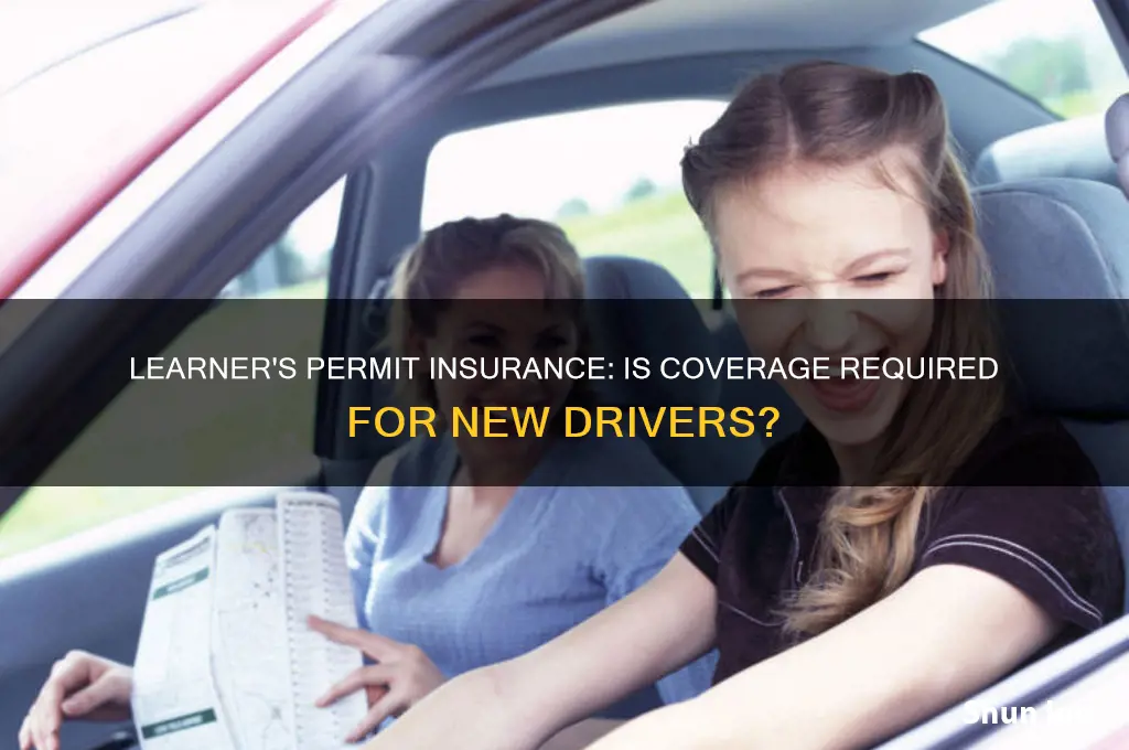 do you have to have insurance with a learner