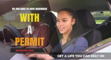 Do You Need Insurance with a Permit? Essential Facts for New Drivers