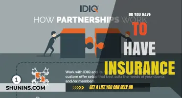 Do You Really Need Insurance? Exploring the Necessity and Benefits