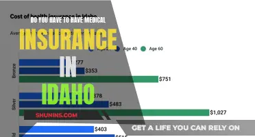 Idaho's Medical Insurance Requirements: What You Need to Know