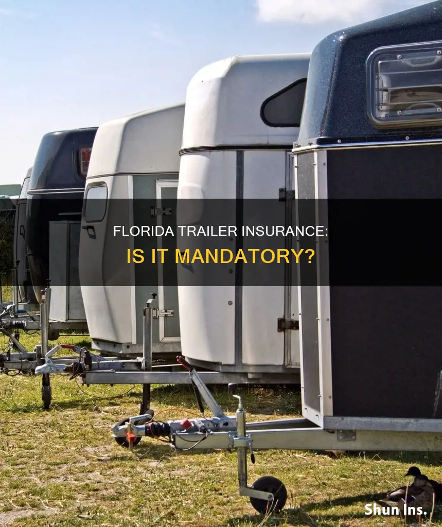do you have to have trailer insurance.in.flor