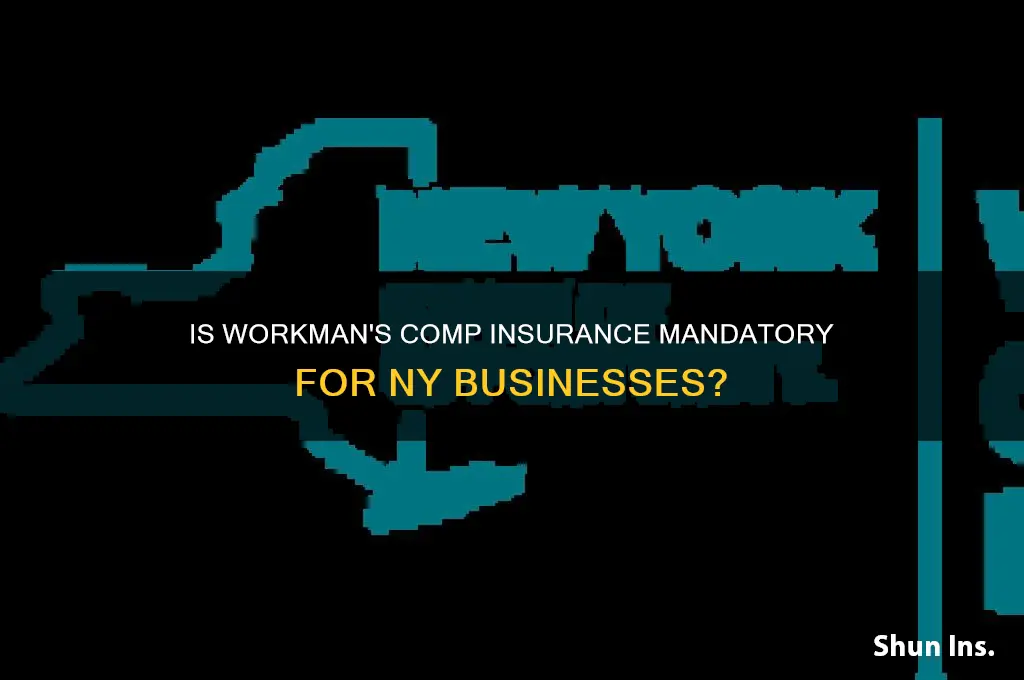 do you have to have workman