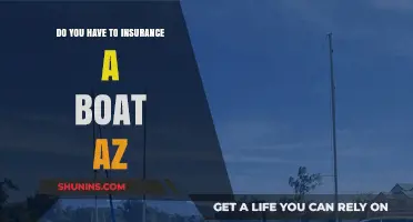 Arizona Boat Insurance: Is It Required for Your Vessel?