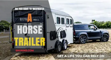 Do You Need Insurance for Your Horse Trailer? Key Considerations