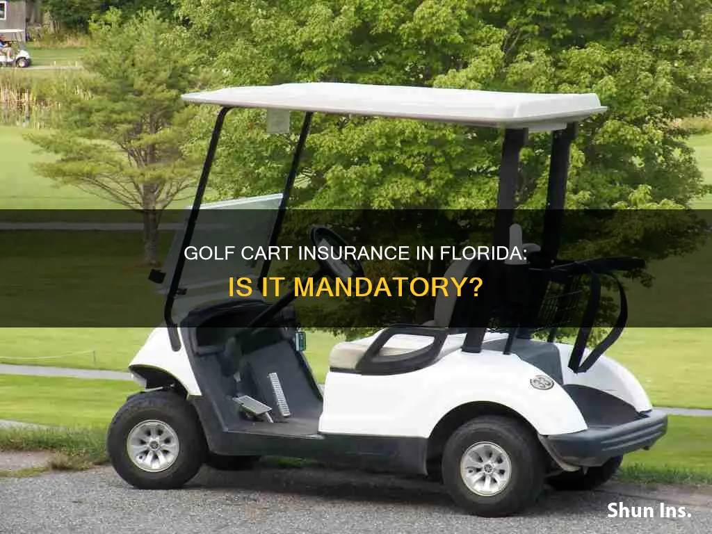 do you have to insure a golf cart in Florida
