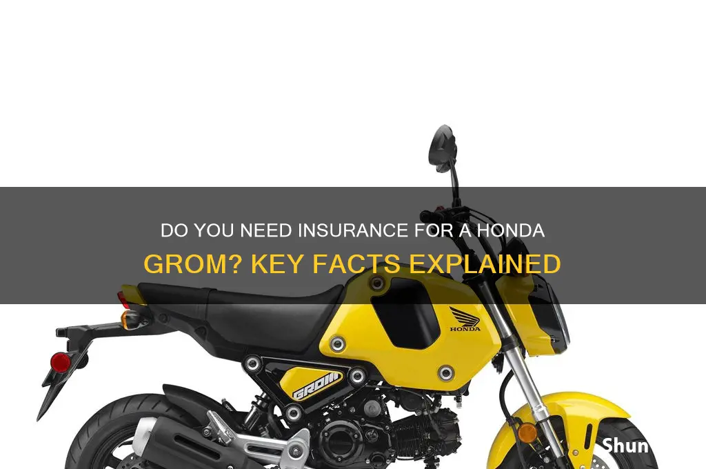 do you have to insure a grom