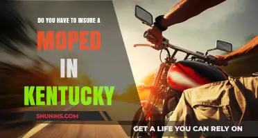 Kentucky Moped Insurance: Is It Required? What You Need to Know