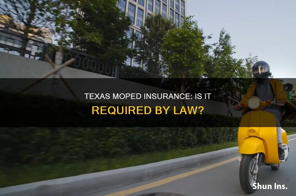 do you have to insure a moped in texas