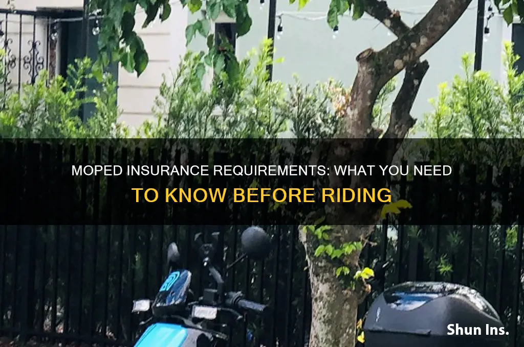 do you have to insure a moped