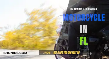 Florida Motorcycle Insurance: Is It Required for Riders?
